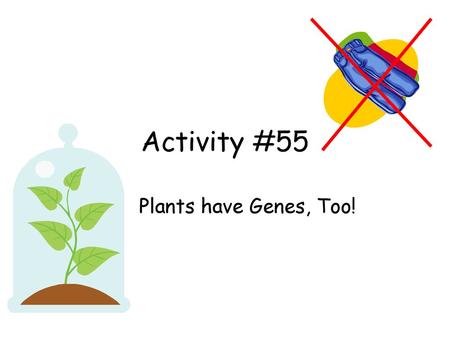 Activity #55 Plants have Genes, Too!.