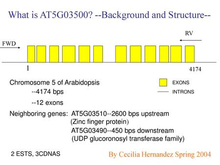 What is AT5G03500? --Background and Structure--