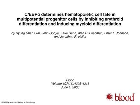 C/EBPα determines hematopoietic cell fate in multipotential progenitor cells by inhibiting erythroid differentiation and inducing myeloid differentiation.