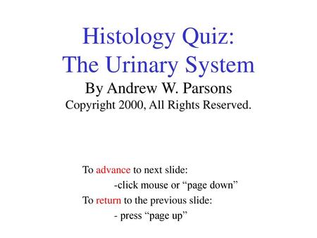 Histology Quiz: The Urinary System By Andrew W