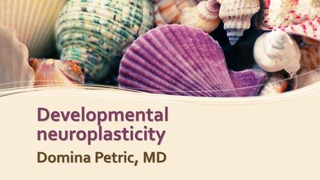 Developmental neuroplasticity