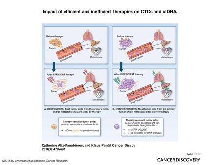 Impact of efficient and inefficient therapies on CTCs and ctDNA.