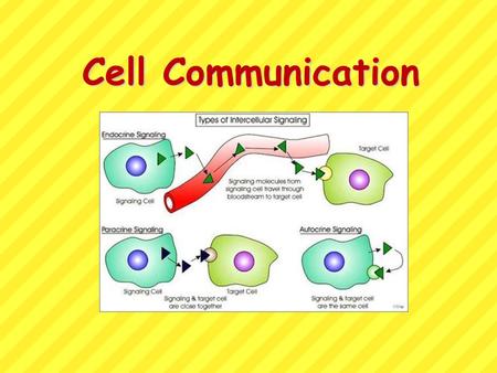 Cell Communication.