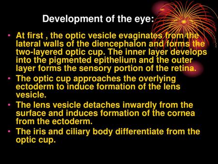 Development of the eye: