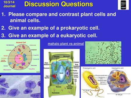   10/3/14 Journal Discussion Questions