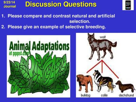 9/23/14 Journal Discussion Questions