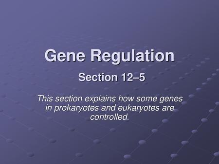 Gene Regulation Section 12–5