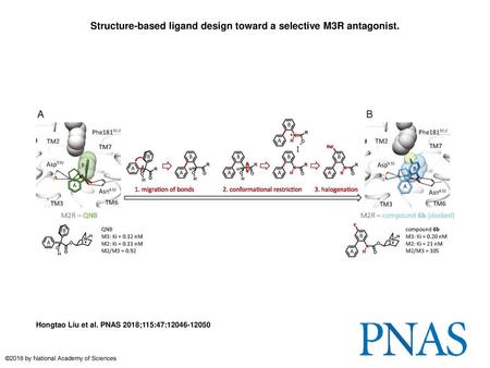 Structure-based ligand design toward a selective M3R antagonist.