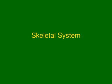 Skeletal System.