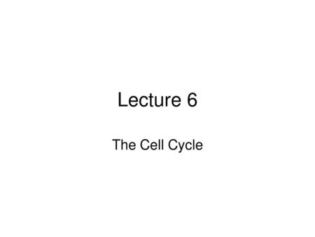 Lecture 6 The Cell Cycle.