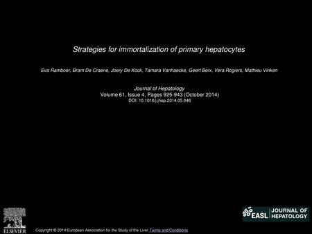 Strategies for immortalization of primary hepatocytes