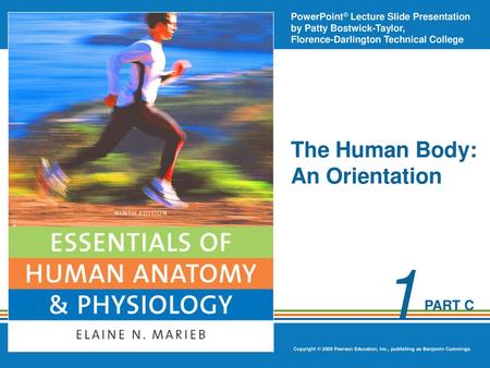 The Human Body: An Orientation