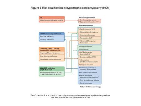 Figure 6 Risk stratification in hypertrophic cardiomyopathy (HCM)