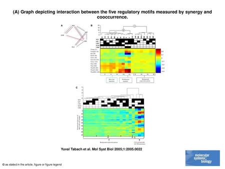 (A) Graph depicting interaction between the five regulatory motifs measured by synergy and cooccurrence. (A) Graph depicting interaction between the five.