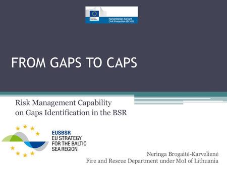 Risk Management Capability on Gaps Identification in the BSR