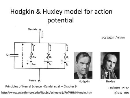 Hodgkin & Huxley model for action potential