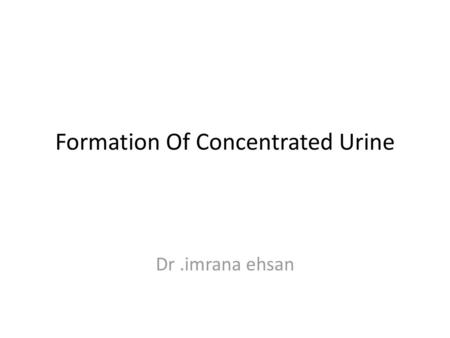 Formation Of Concentrated Urine