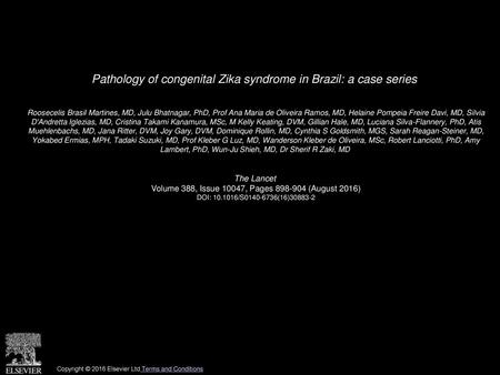 Pathology of congenital Zika syndrome in Brazil: a case series