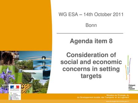 Toitototototoot WG ESA – 14th October 2011 Bonn Agenda item 8 Consideration of social and economic concerns in setting targets Ministère de l'Écologie,