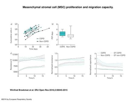 Mesenchymal stromal cell (MSC) proliferation and migration capacity.