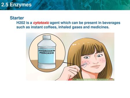 Starter H202 is a cytotoxic agent which can be present in beverages such as instant coffees, inhaled gases and medicines.