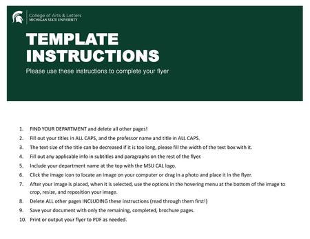 TEMPLATE INSTRUCTIONS