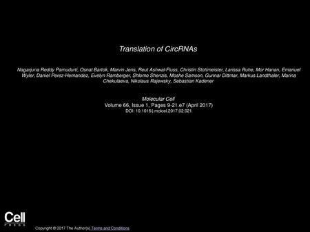 Translation of CircRNAs