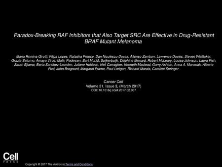 Paradox-Breaking RAF Inhibitors that Also Target SRC Are Effective in Drug-Resistant BRAF Mutant Melanoma  Maria Romina Girotti, Filipa Lopes, Natasha.