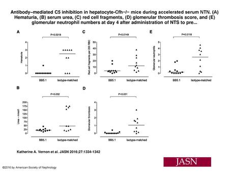 Antibody–mediated C5 inhibition in hepatocyte-Cfh−/− mice during accelerated serum NTN. (A) Hematuria, (B) serum urea, (C) red cell fragments, (D) glomerular.