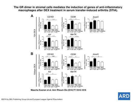 The GR dimer in stromal cells mediates the induction of genes of anti-inflammatory macrophages after DEX treatment in serum transfer-induced arthritis.