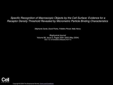 Specific Recognition of Macroscopic Objects by the Cell Surface: Evidence for a Receptor Density Threshold Revealed by Micrometric Particle Binding Characteristics 