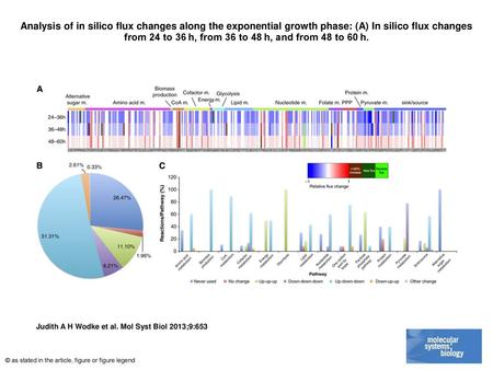 Analysis of in silico flux changes along the exponential growth phase: (A) In silico flux changes from 24 to 36 h, from 36 to 48 h, and from 48 to 60 h.