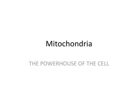 THE POWERHOUSE OF THE CELL