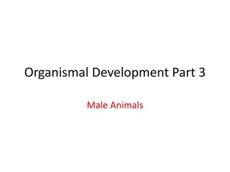 Organismal Development Part 3