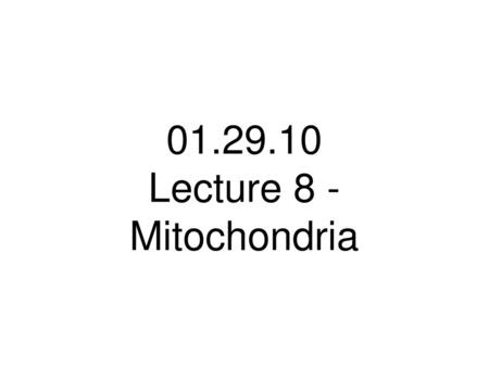 Lecture 8 - Mitochondria