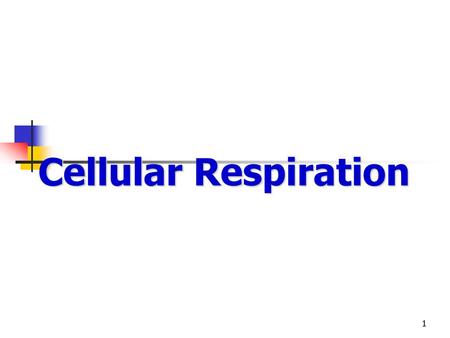 Cellular Respiration.