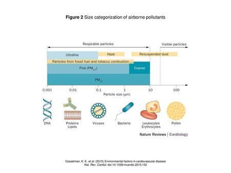 Figure 2 Size categorization of airborne pollutants