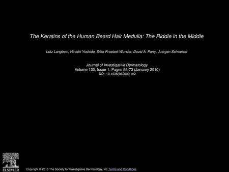 The Keratins of the Human Beard Hair Medulla: The Riddle in the Middle