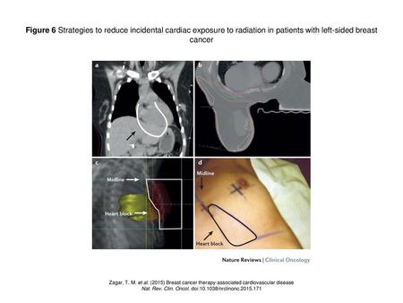 Nat. Rev. Clin. Oncol. doi: /nrclinonc