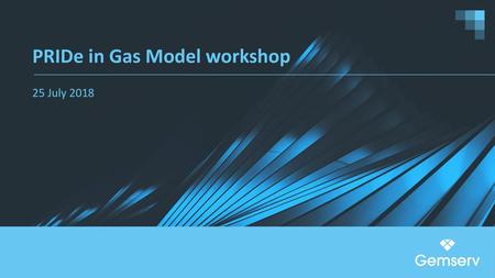 PRIDe in Gas Model workshop