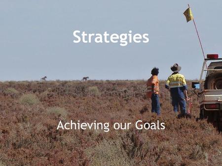 Strategies Achieving our Goals