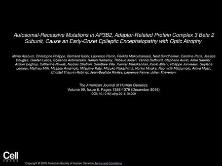 Autosomal-Recessive Mutations in AP3B2, Adaptor-Related Protein Complex 3 Beta 2 Subunit, Cause an Early-Onset Epileptic Encephalopathy with Optic Atrophy 