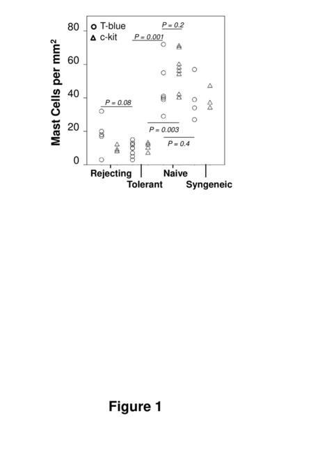 Figure 1 Mast Cells per mm T-blue c-kit Rejecting Naive