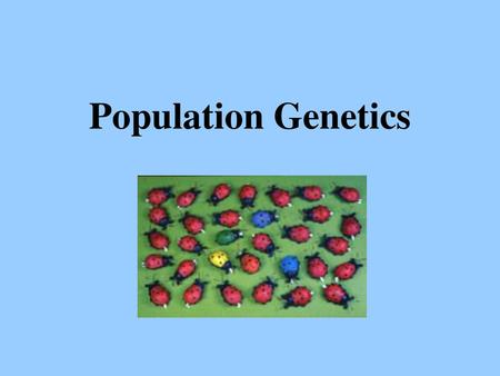 Population Genetics.