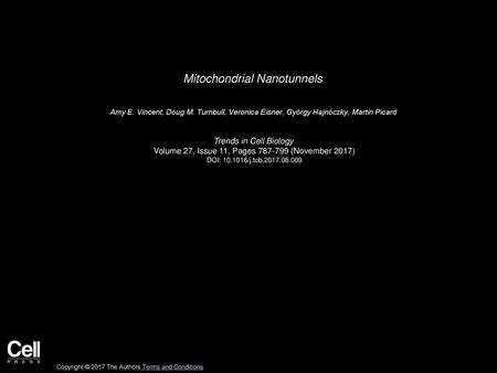 Mitochondrial Nanotunnels