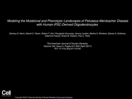 Modeling the Mutational and Phenotypic Landscapes of Pelizaeus-Merzbacher Disease with Human iPSC-Derived Oligodendrocytes  Zachary S. Nevin, Daniel C.