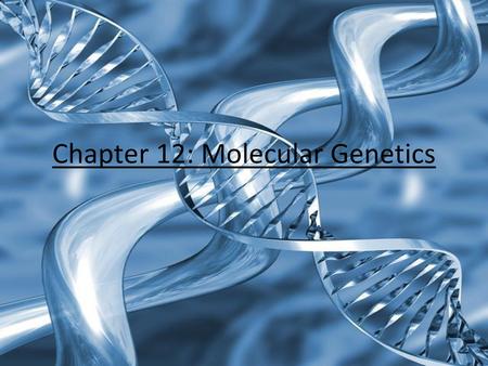 Chapter 12: Molecular Genetics