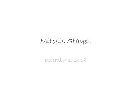 Mitosis Stages December 1, 2018.