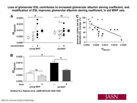 Loss of glomerular ESL contributes to increased glomerular albumin sieving coefficient, and modification of ESL improves glomerular albumin sieving coefficient,