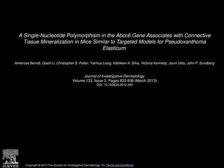 A Single-Nucleotide Polymorphism in the Abcc6 Gene Associates with Connective Tissue Mineralization in Mice Similar to Targeted Models for Pseudoxanthoma.